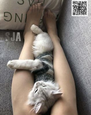 后翼弃兵_蓝光日韩电影在线