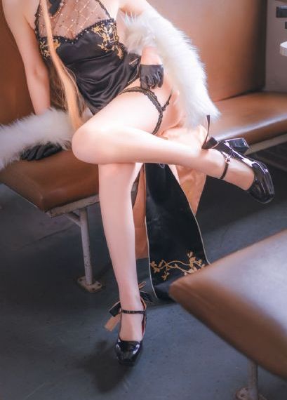 狐狸女士_BD电视剧在线观看